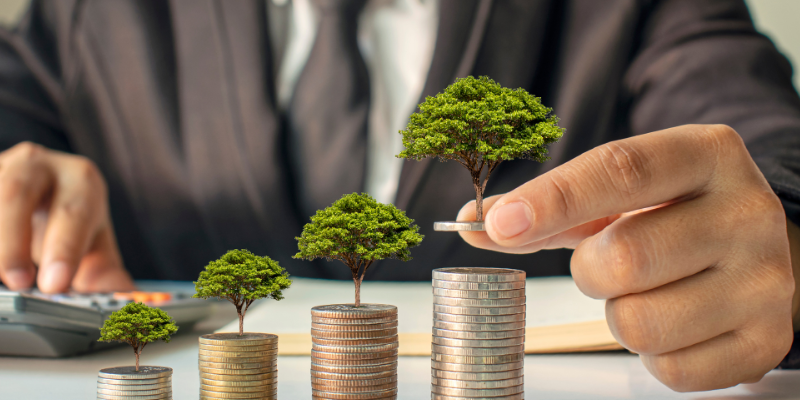 The concept of financial growth illustrated by a CFO stacking coins with trees growing on top.