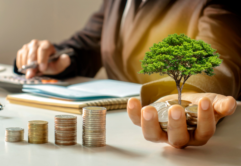 Quickbooks Setup Services Profitability